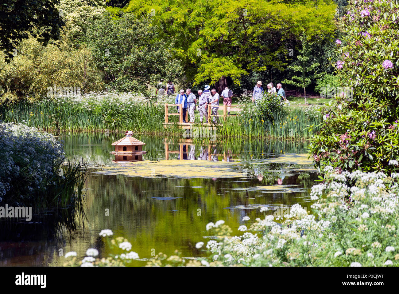 Ente Haus am See Frogmore, Frogmore House & Gardens, Home Park, Windsor, Berkshire, England, Vereinigtes Königreich Stockfoto