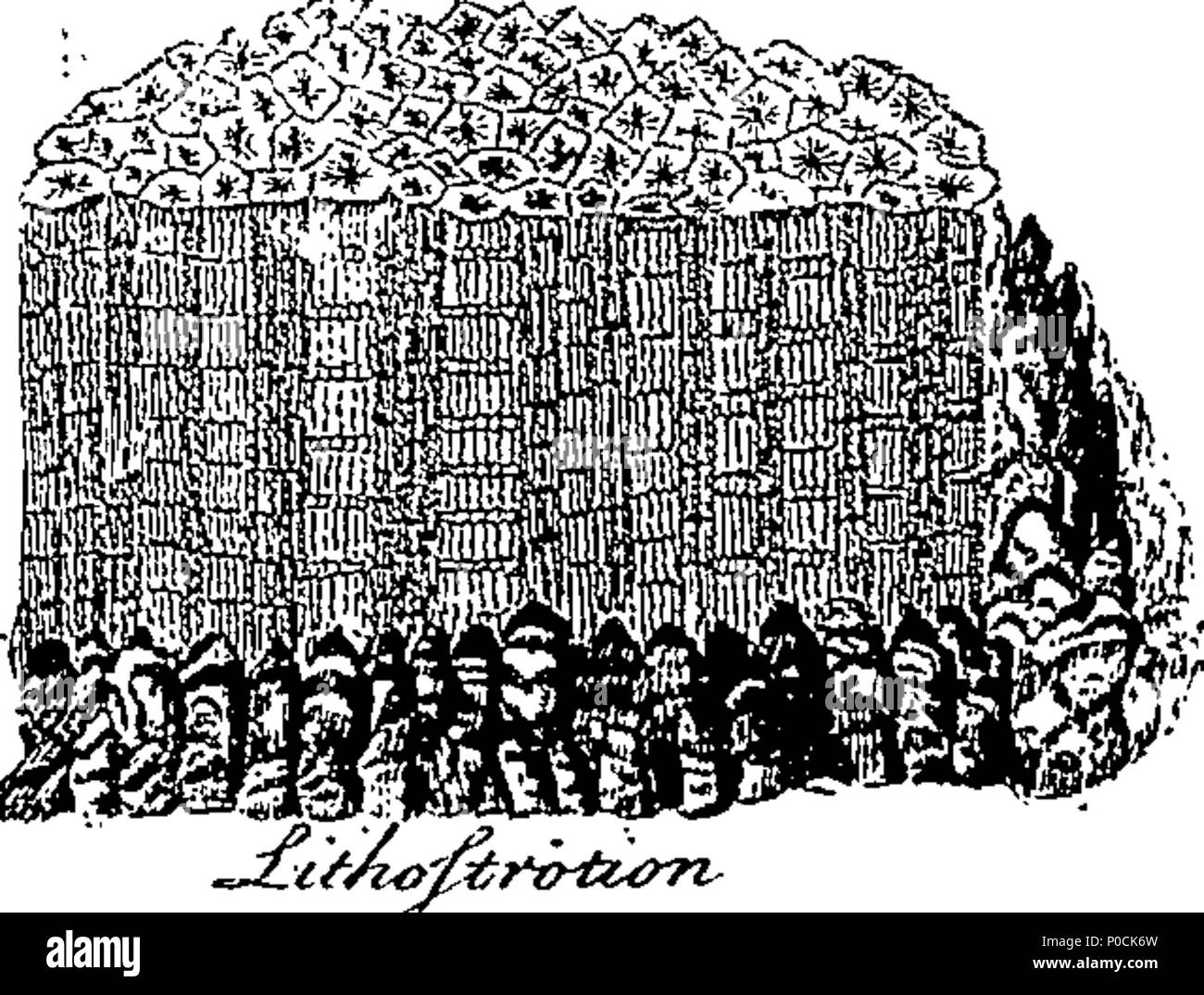 212 eine Ergänzung zu Herrn Kammern's Cyclopaedia - oder, universal Lexikon der Künste und der Wissenschaften Fleuron T 136272-37 Stockfoto