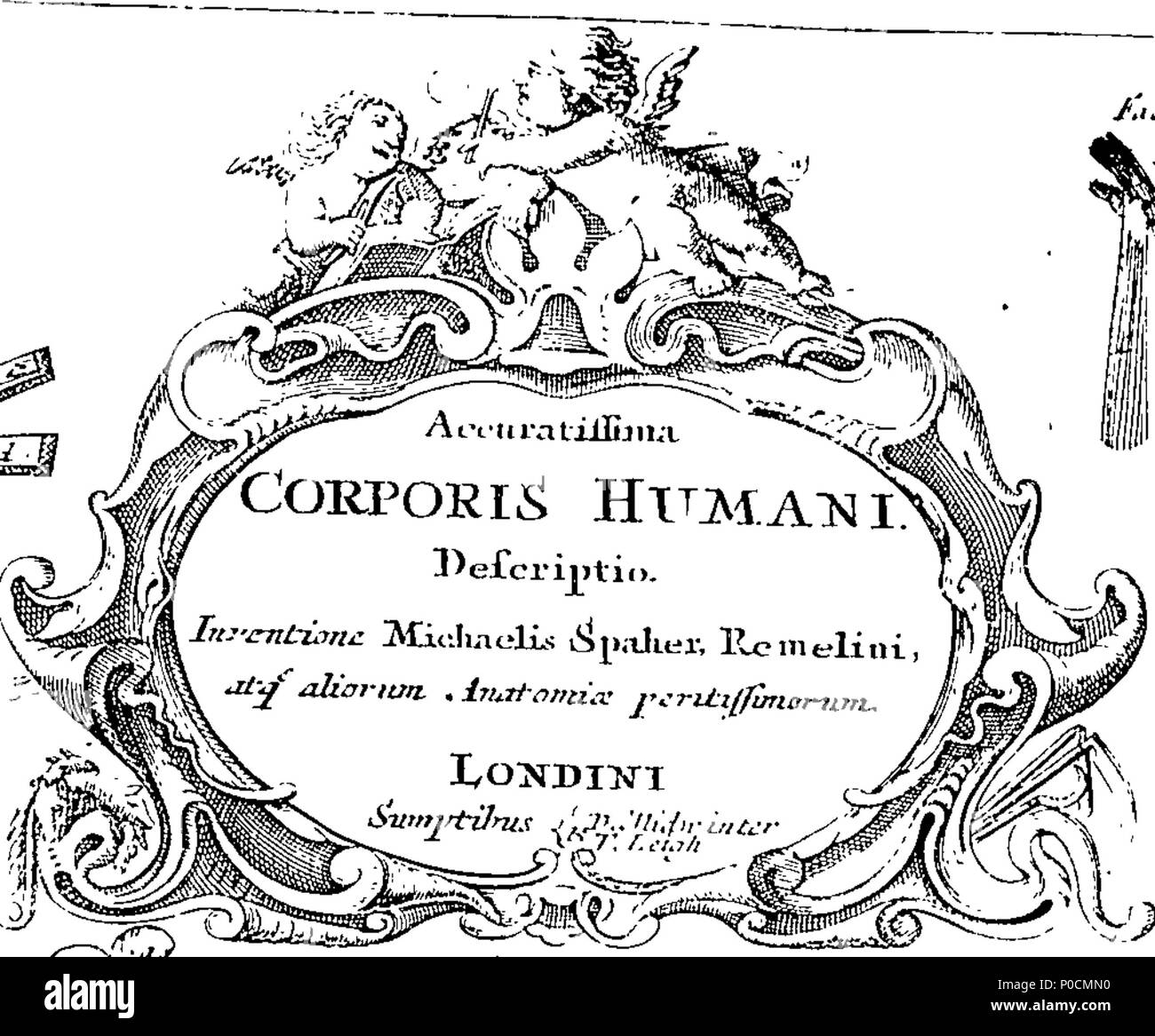 . Englisch: Fleuron aus Buch: eine Umfrage des microcosme: oder, die Anatomie der Körper des Mannes und der Frau. Worin die Haut, Venen, Arterien, Nerven, Muskeln, Innereien, Knochen, Bänder und Gelenke werden genau beschrieben, und so entsorgt werden durch Einfügen, so dass alle Teile der genannten Einrichtungen, sowohl intern als auch extern, sind genau an den richtigen Ort vertreten. Nützlich für alle Ärzte, chyrurgeons, statuaries, Maler, &c. Von Michael Spaher von Tirol, und Remilinus. Durch Clopton Havers, M.D. und Fellow der Royal Society korrigiert. 216 Eine Umfrage der microcosme - oder, die Anatomie der b Stockfoto