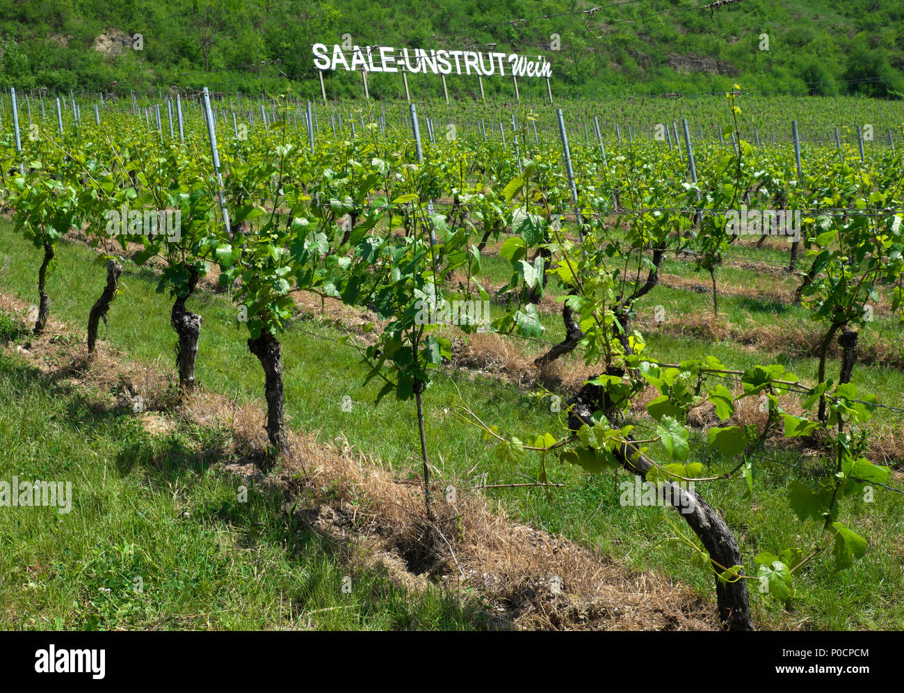 Bad kösen deutschland Fotos und Bildmaterial in hoher Auflösung Alamy