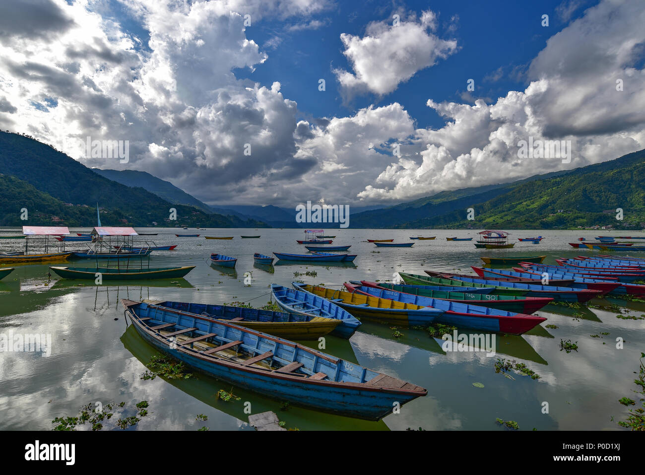 Boote auf den Fewasee, Pokhara, Nepal Stockfoto