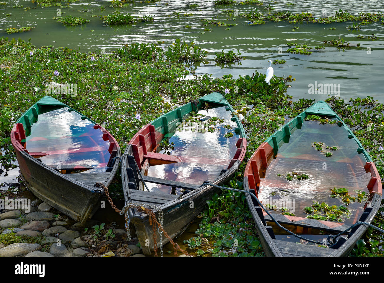 Boote auf dem Fewa-See in Pokhara, Nepal Stockfoto