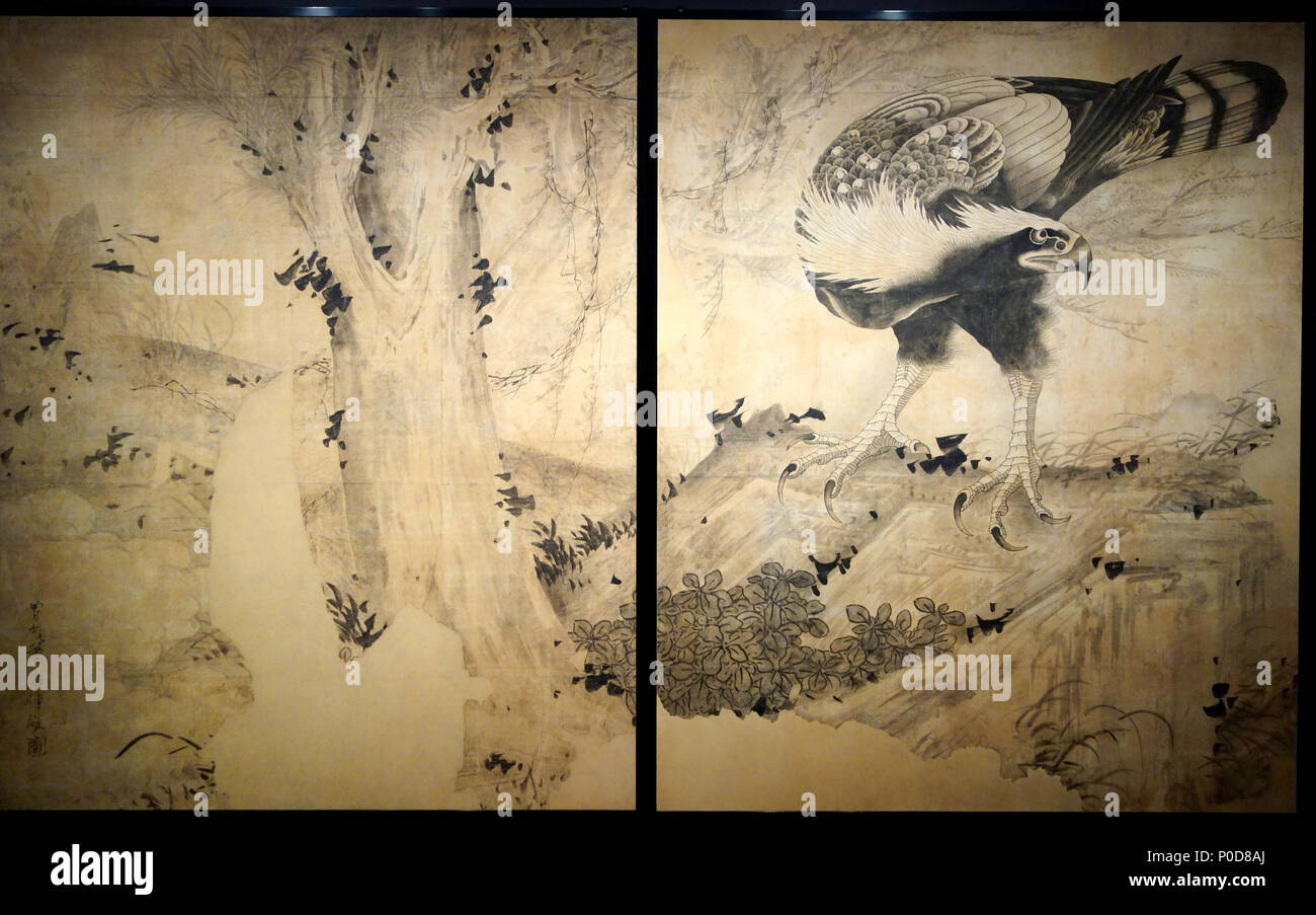 . Englisch: Hawk von Soga Shōhaku (曾我蕭白) (1730 - 1781), möglicherweise in 1763 erstellt, Tinte auf Papier - Museum der Bildenden Künste, Boston, Massachusetts, USA. Dieses Kunstwerk ist in der public domain, weil der Künstler vor mehr als 100 Jahren starb. . 日本語: 鷹図 Englisch: Hawk. ca. 1763. Daderot 2 Hawk von Soga Shohaku - Museum der Bildenden Künste, Boston - DSC 02741 Stockfoto
