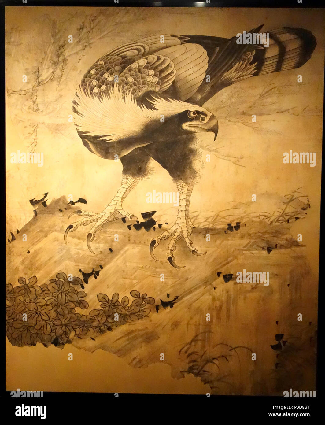 . Englisch: Hawk von Soga Shōhaku (曾我蕭白) (1730 - 1781), möglicherweise in 1763 erstellt, Tinte auf Papier - Museum der Bildenden Künste, Boston, Massachusetts, USA. Dieses Kunstwerk ist in der public domain, weil der Künstler vor mehr als 100 Jahren starb. . 日本語: 鷹図 Englisch: Hawk. ca. 1763. Daderot 2 Hawk von Soga Shohaku - Museum der Bildenden Künste, Boston - DSC 02746 Stockfoto