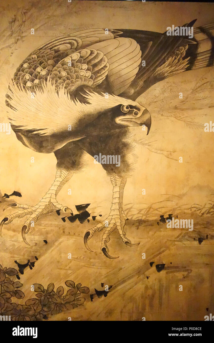 . Englisch: Hawk von Soga Shōhaku (曾我蕭白) (1730 - 1781), möglicherweise in 1763 erstellt, Tinte auf Papier - Museum der Bildenden Künste, Boston, Massachusetts, USA. Dieses Kunstwerk ist in der public domain, weil der Künstler vor mehr als 100 Jahren starb. . 日本語: 鷹図 Englisch: Hawk. ca. 1763. Daderot 2 Hawk von Soga Shohaku - Museum der Bildenden Künste, Boston - DSC 02748 Stockfoto