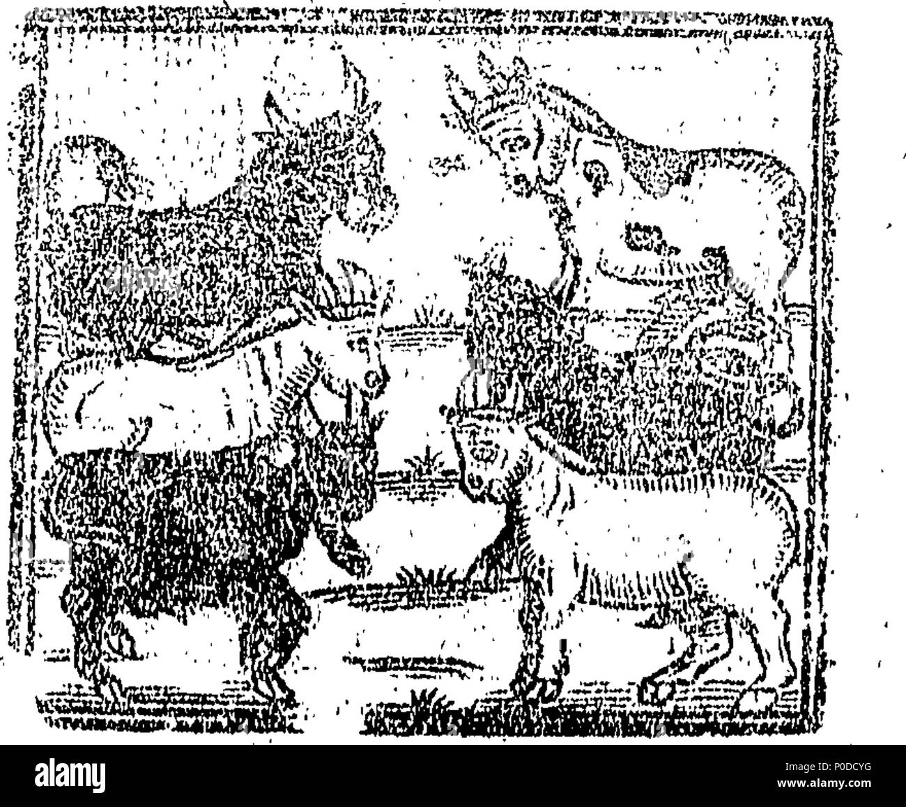 . Englisch: Fleuron aus Buch: eine seltsame und wunderbare Verhältnis der alten Frau, die in Ratcliff-Highway ertrunken war. Vor zwei Wochen. Mit dem Traum der alten Frau ein wenig nach ihrem Tod hinzugefügt. Teil der Erste. 210 Eine seltsame und wunderbare Verhältnis der alten Frau, die in Ratcliff-Highway Fleuron T 048727-10 ertrunken war Stockfoto