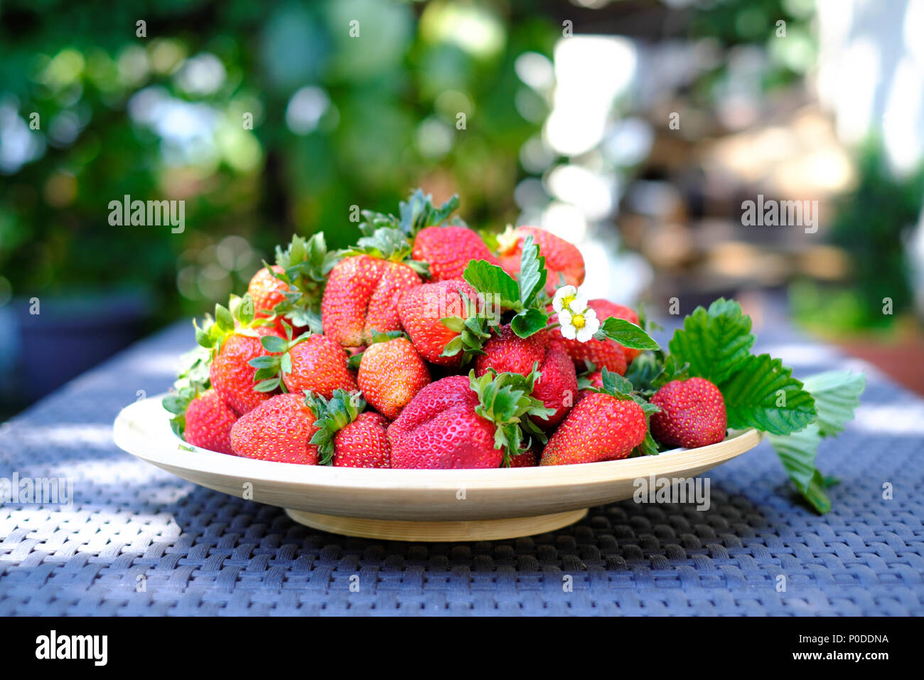 Erdbeere in der Platte closeup Stockfoto