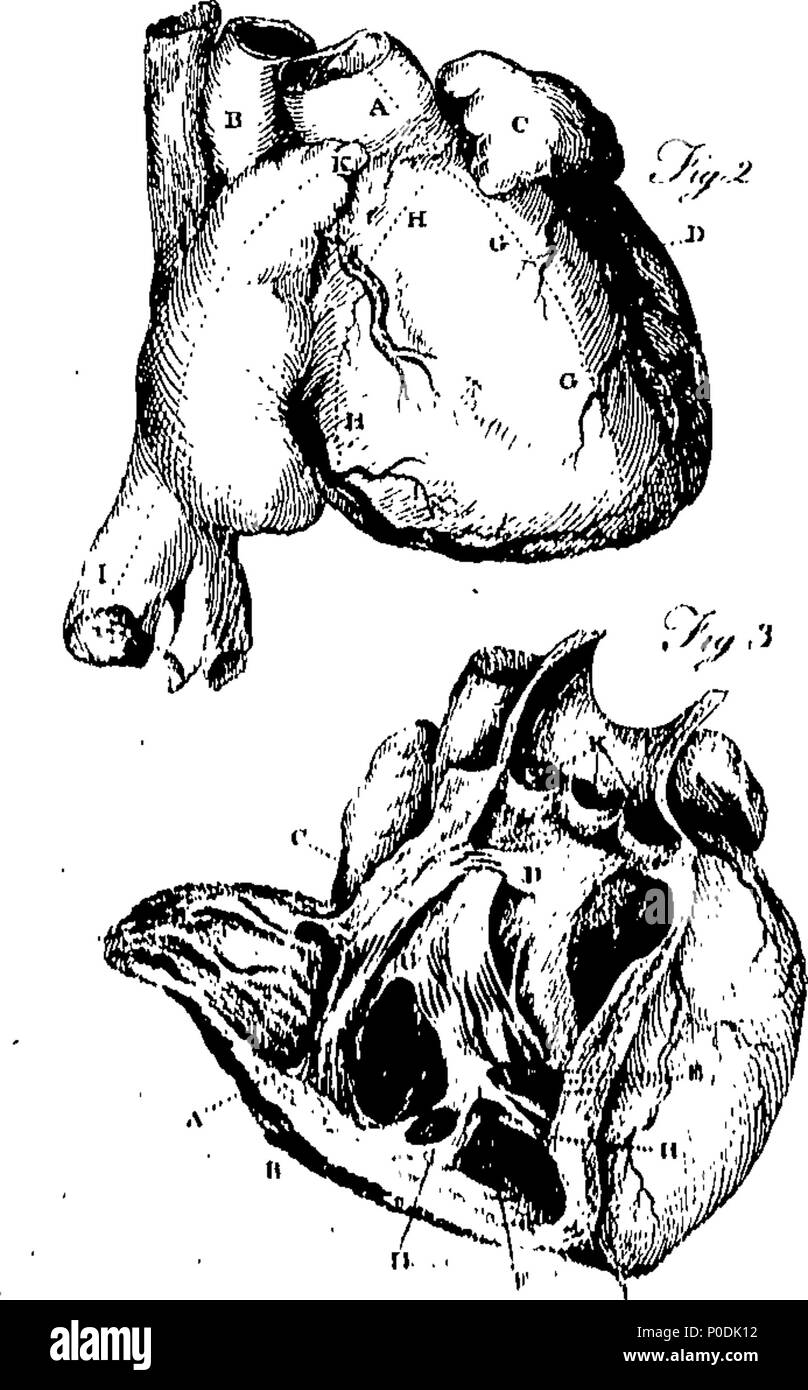 . Englisch: Fleuron aus Buch: ein System von dissektionen, erklärt die Anatomie des menschlichen Körpers, die Art und Weise der Darstellung der Teile und ihre Sorten in Krankheit. Band der ersten. Mit dem Sezieren des Abdomen, Thorax, Becken, Hüfte und Bein. Die zweite Ausgabe. Von Charles Bell, ... 217 Ein System von dissektionen, erklärt die Anatomie des menschlichen Körpers, die Art und Weise der Darstellung der Teile und ihre Sorten in Krankheit Fleuron T 130166-21 Stockfoto