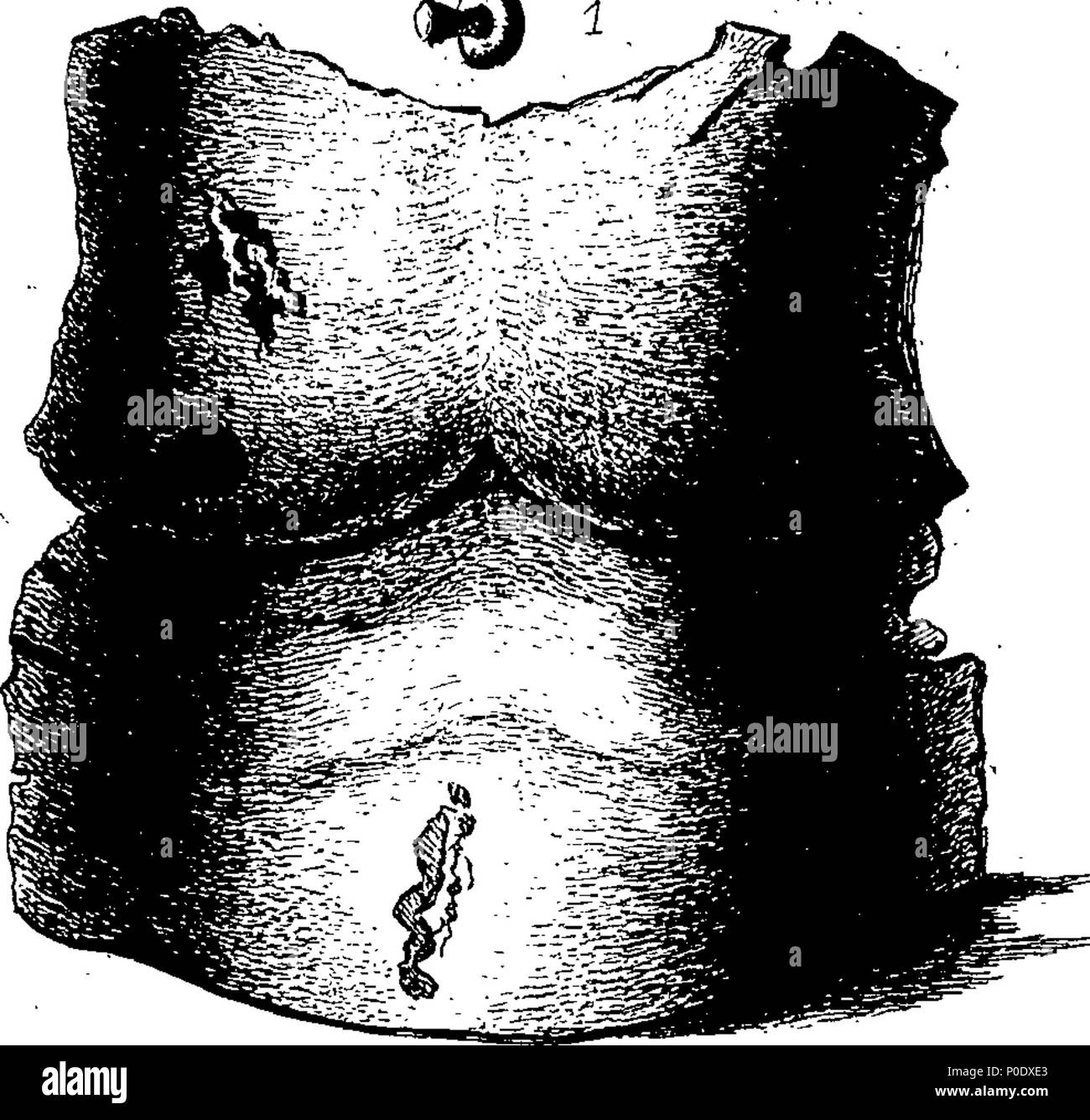 . Englisch: Fleuron aus Buch: eine Abhandlung über die alte Rüstungen und Waffen, durch Platten von der ursprünglichen Rüstungen im Tower von London illustriert und andere Arsenale, Museen, und Schränke. Von Francis Grose, Esq; F. A. S. 233 eine Abhandlung über alte Rüstungen und Waffen Fleuron T 083280-25 Stockfoto