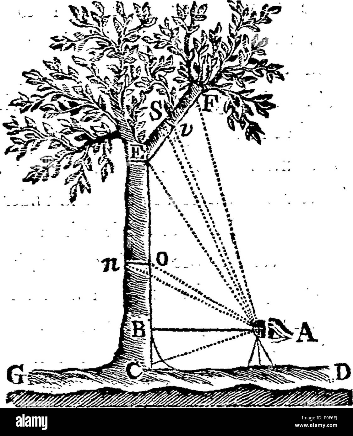 . Englisch: Fleuron aus Buch: eine Abhandlung über die durchmesserdendrometer, ein New-Invented Instrument für die mehr bestimmte und Messung von stehendem Holz, durch Inspektion: Nur für die Erleichterung der praktischen Arbeiten von Engineering, Land-Surveying, Nivellierung, Mineing, &c. Und für mechanisch Durchführung der zahlreichen Fälle von Ebene Trigonometrie, durch einen kurzen und bekannten Verfahren, ohne Berechnung. 239 eine Abhandlung über die durchmesserdendrometer Fleuron T 003134-16 Stockfoto