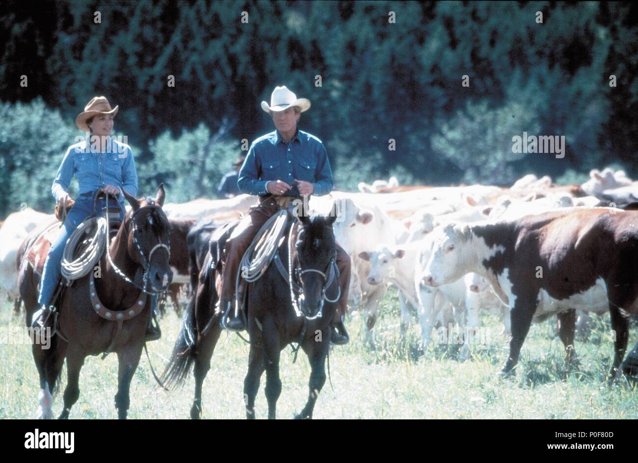 Original Film Titel: der PFERDEFLÜSTERER. Englischer Titel: der PFERDEFLÜSTERER. Regisseur: Robert Redford. Jahr: 1998. Stars: Robert Redford, Kristin Scott Thomas. Credit: TOUCHSTONE PICTURES/Album Stockfoto