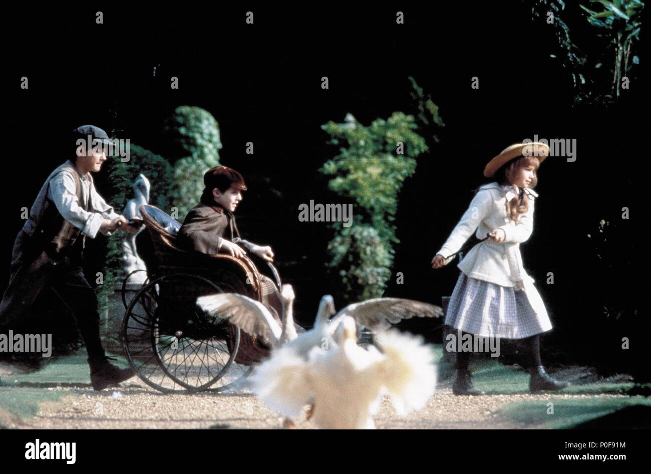 Regisseur andrew prowse Fotos und Bildmaterial in hoher Auflösung Alamy