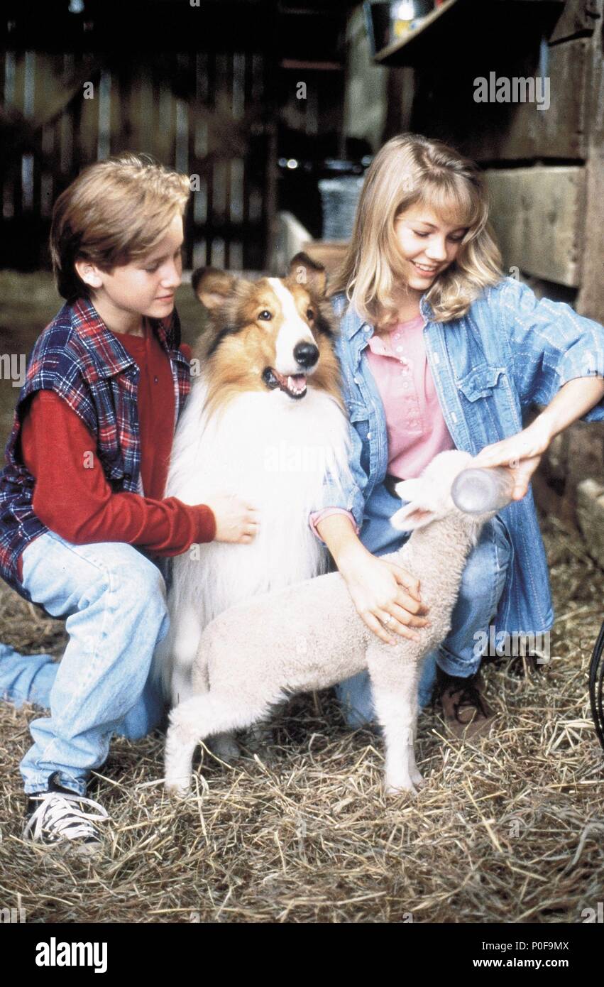 Lassie Lassie 1994 Stockfotos und bilder Kaufen Alamy