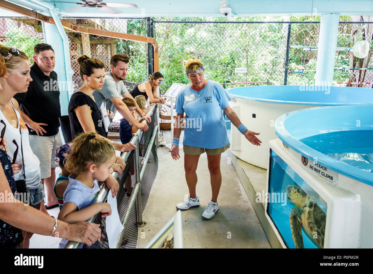 Boca Raton Florida, Gumbo Limbo Nature Center Komplex, Meeresschildkröten Rehabilitationspanks, Frau weibliche Frauen, Mann Männer, Mädchen, weibliche Kinder Chi Stockfoto