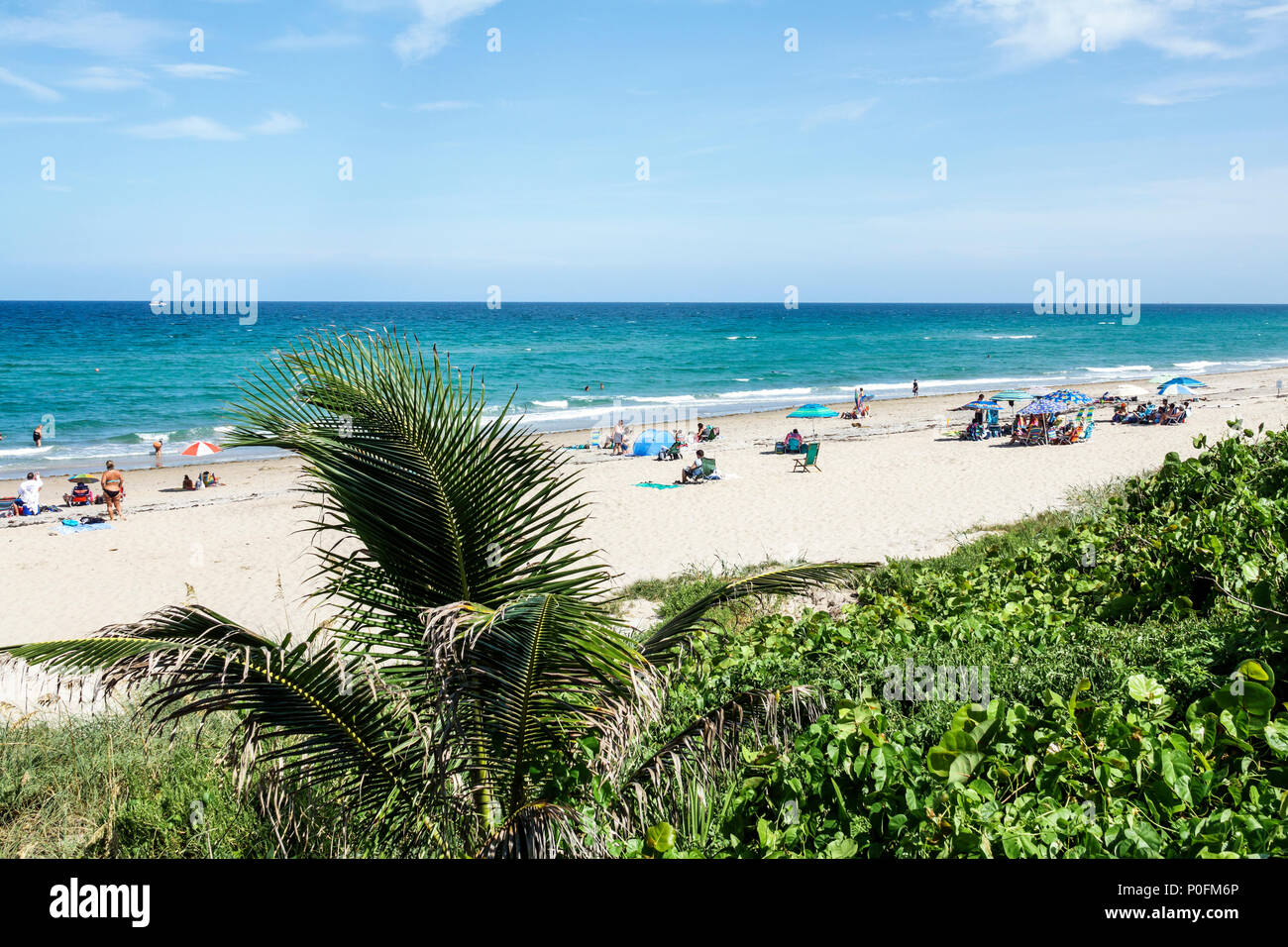Florida Atlantischer Ozean, Deerfield Beach, Wasser, Sand, Rettungsschwimmerturm, Palme, Vegetation, weibliche Frauen, Sonnenanbeter, FL170725048 Stockfoto