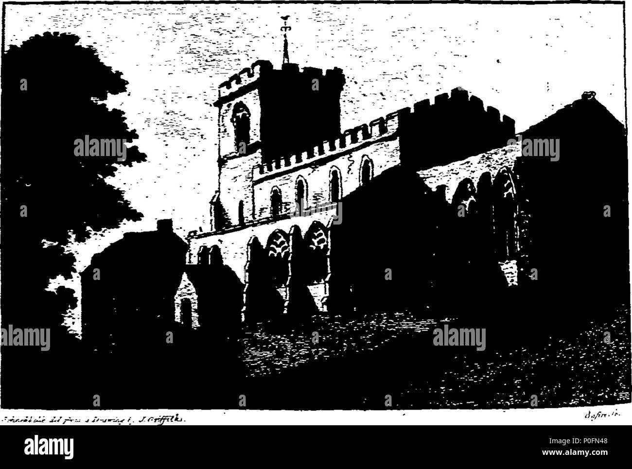 . Englisch: Fleuron aus Buch: Zusätzliche Sammlungen zur Geschichte und Altertümer der Stadt und Grafschaft von Leicester. Von John Nichols, F.S.A. veröffentlicht. Edinb. & Perth. 266 Zusätzliche Sammlungen zur Geschichte und Altertümer der Stadt und Grafschaft Leicester Fleuron T 084192-38 Stockfoto