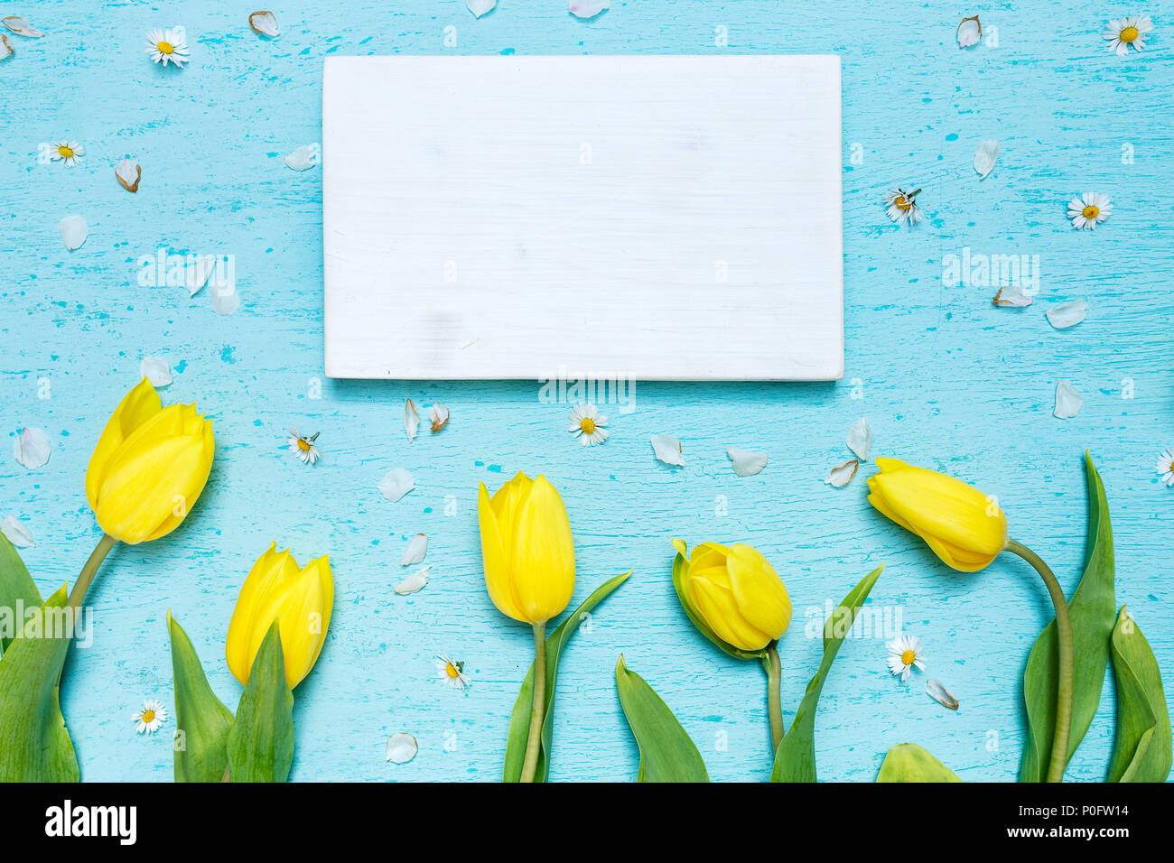 Cyan Tischplatte Szene mit gelben Tulpen und weißen Holzrahmen Stockfoto