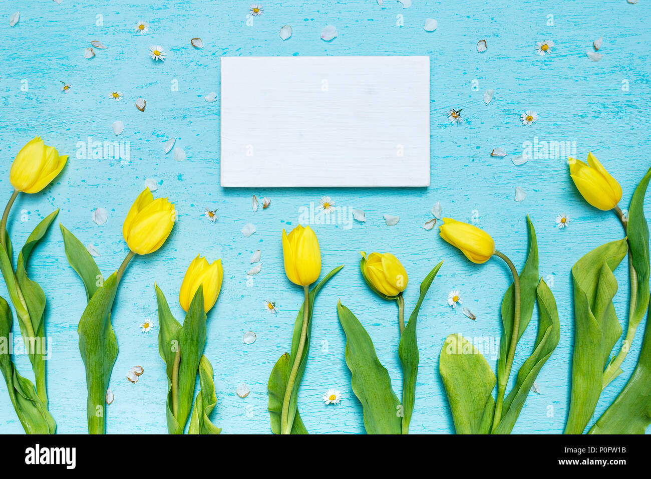 Cyan Tischplatte Szene mit gelben Tulpen und weißen Holzrahmen Stockfoto