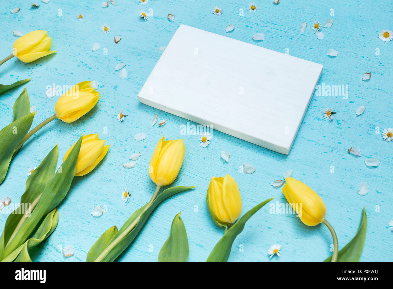 Cyan Tischplatte Szene mit gelben Tulpen und weißen Holzrahmen Stockfoto