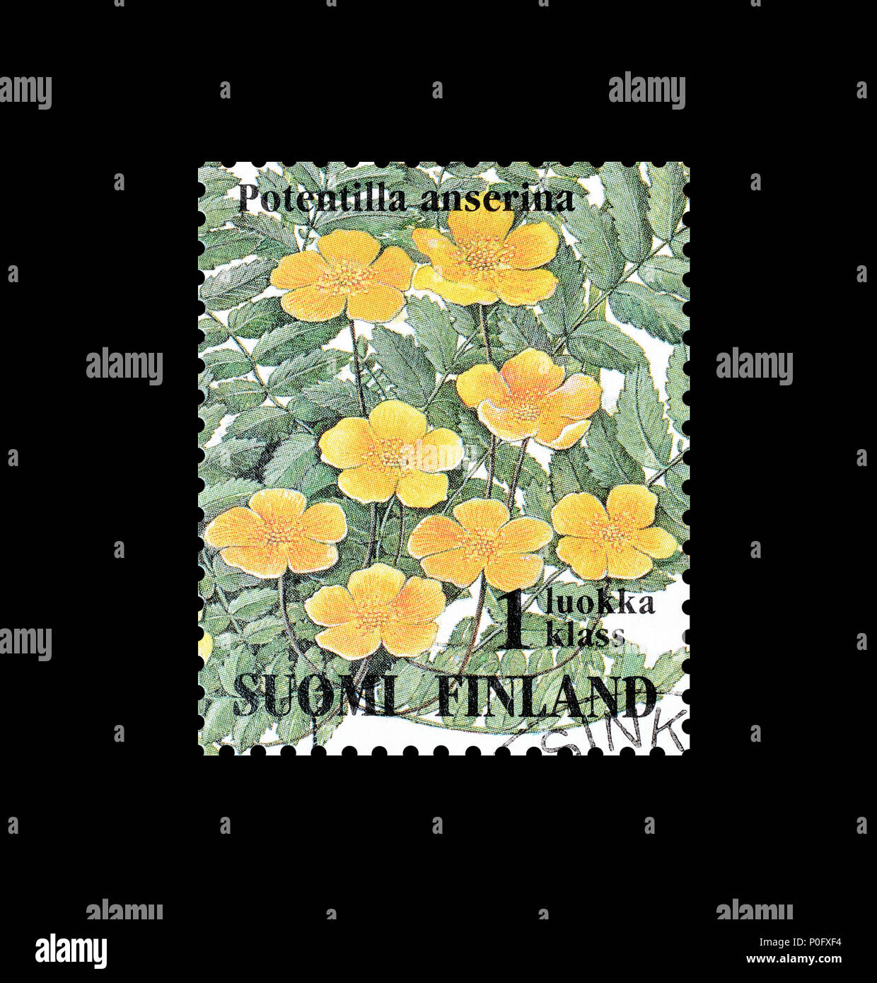 Storniert Briefmarke von Finnland gedruckt, zeigt, dass gemeinsame Silber Unkraut, circa 1994. Stockfoto