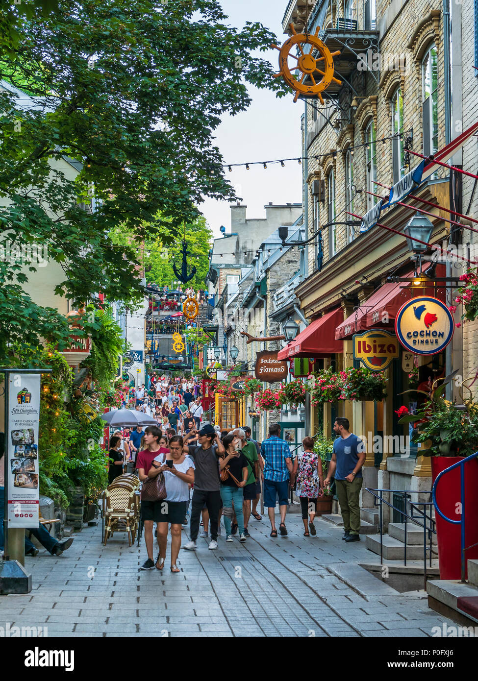 Rue du Vieux Quebec Petit-Champlain, Senken, Altstadt, Quebec City, Kanada. Stockfoto