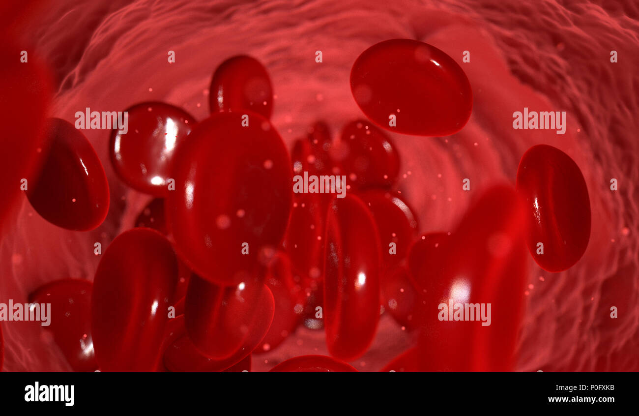 Ein Makro Nahaufnahme von einem Blut Vene mit roten Blutkörperchen fließt - 3D-Rendering Stockfoto