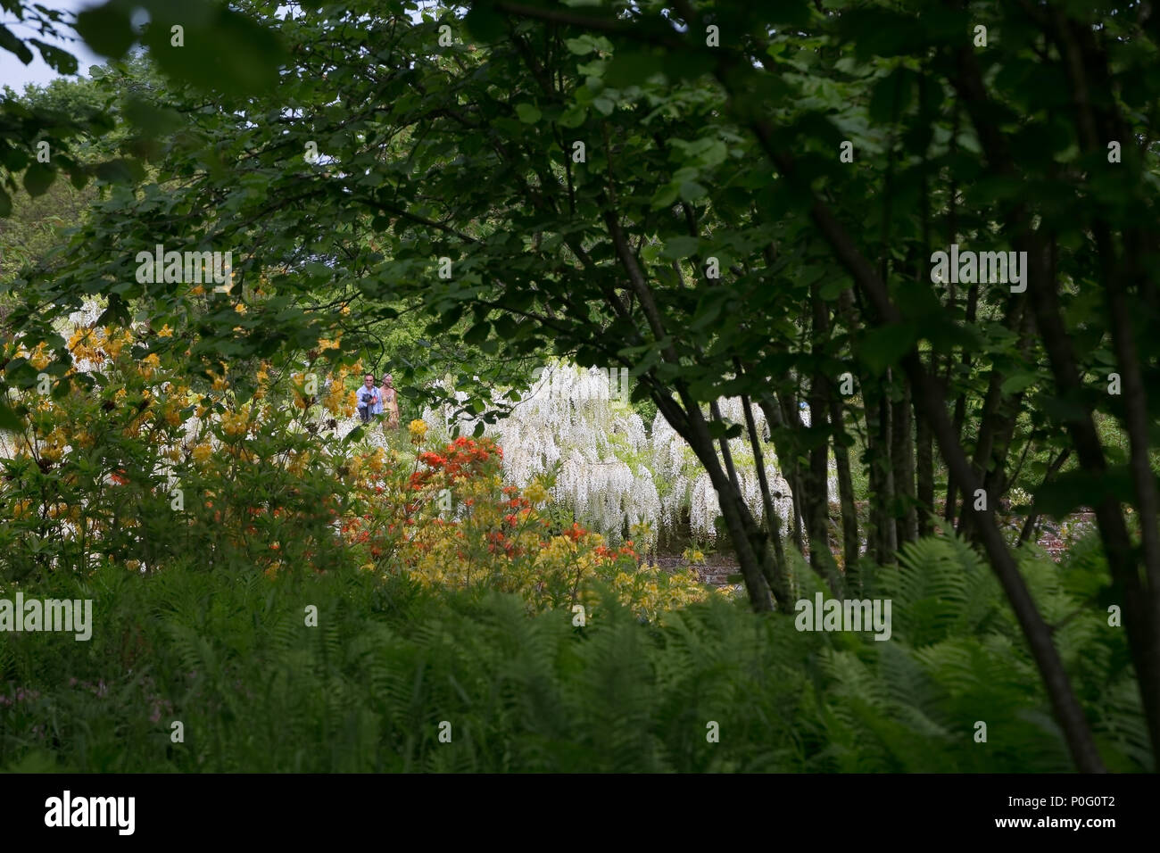 Sissinghurst Schlossgarten, Weald von Kent, England, Großbritannien Stockfoto