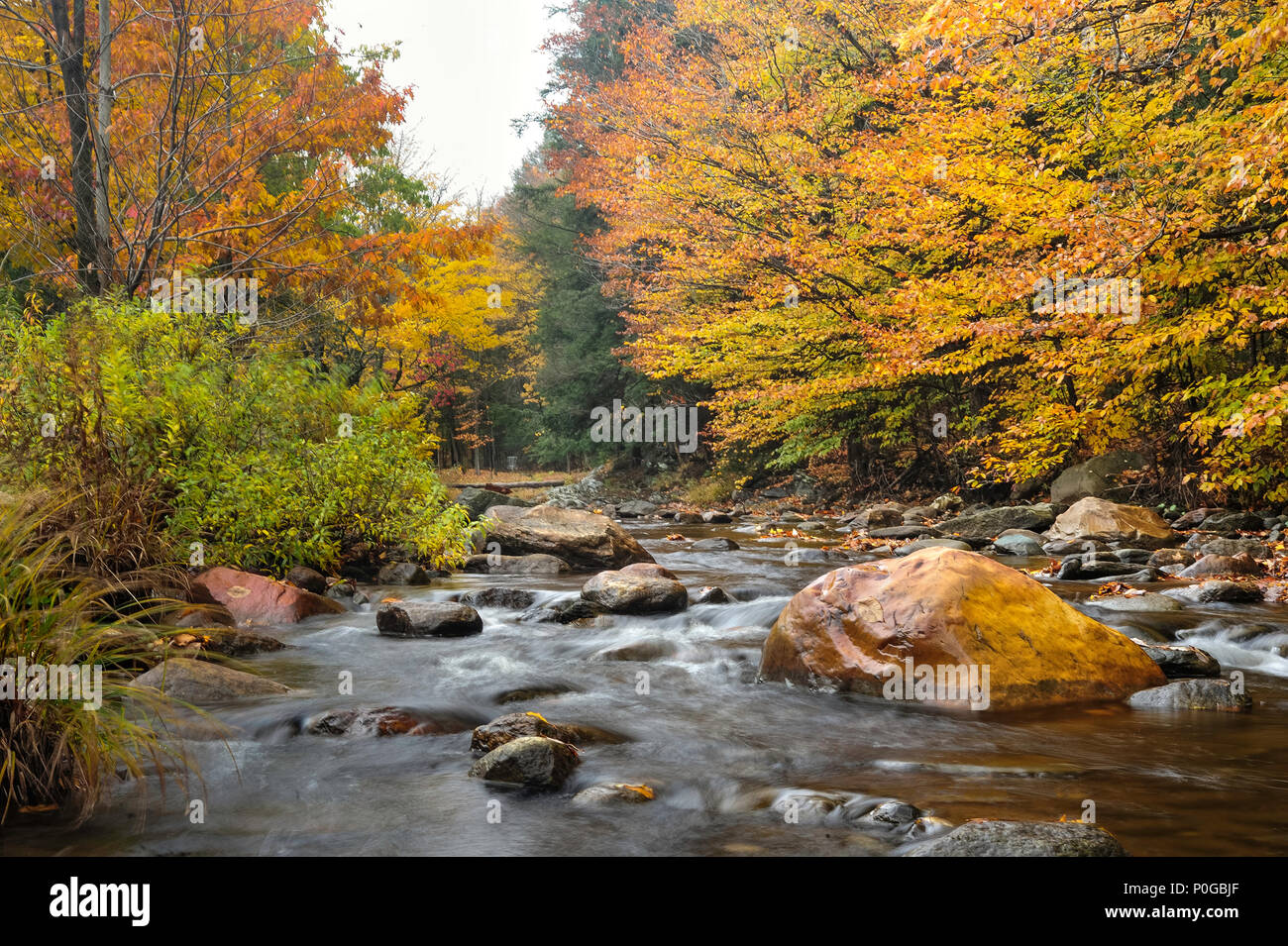 Helle Farben des Herbstes die Connecticut River in New England's Vermont Akzent. Stockfoto