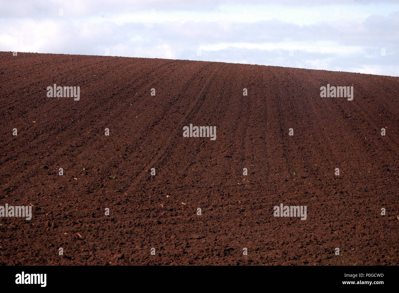 Gepflügten FELDES IN TASMANIEN BEREIT FÜR GETREIDE anpflanzen, Australien Stockfoto