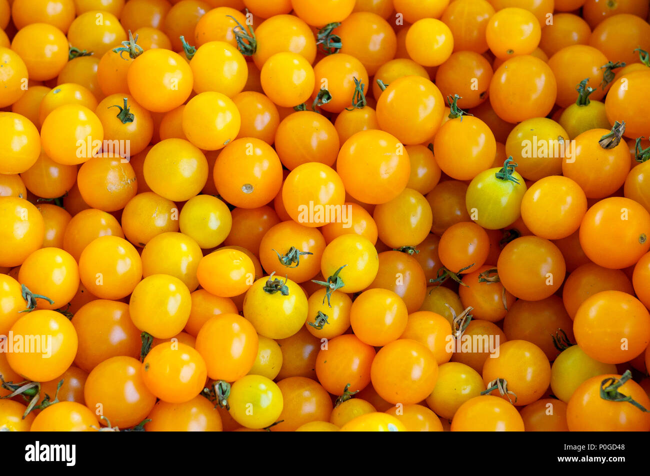 Viele BC Frische gelbe Kirschtomaten auf dem Markt Stockfoto