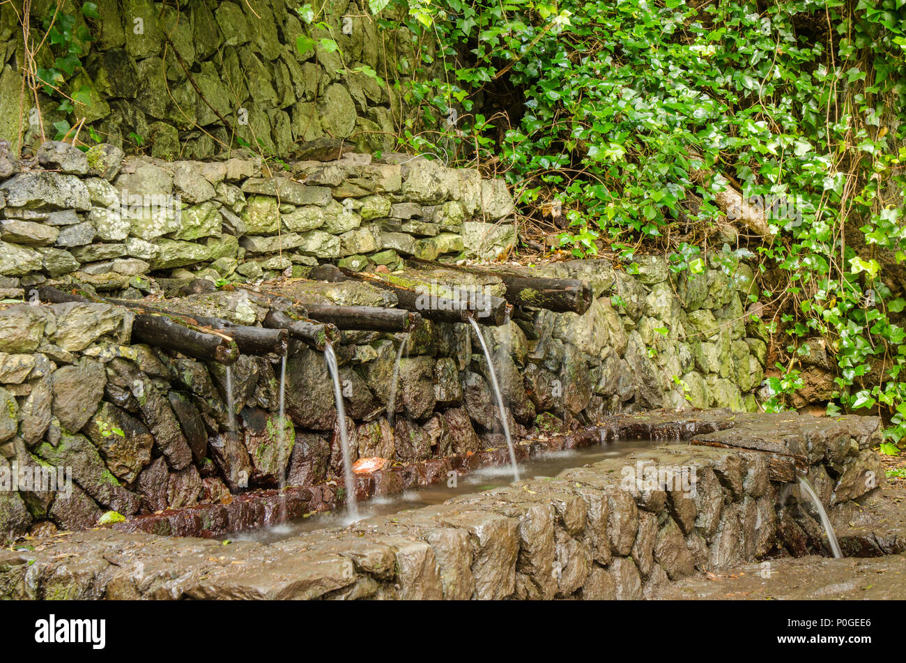 Chorros de Epina - magische Wasser quellen auf La Gomera, Kanarische Inseln, Spanien Stockfoto