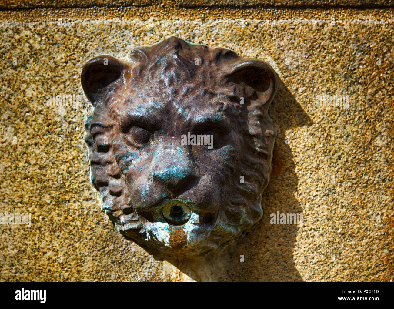 Limoges, Frankreich - 28. September 2017: Medaillons von Lions Springbrunnen der Stadt. Relief Medaillon Leo Stockfoto