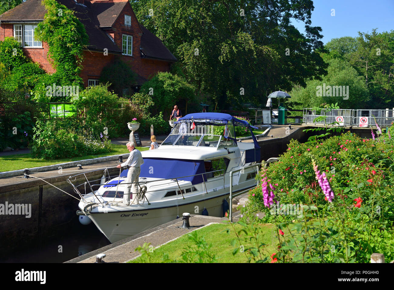 Sommer Pflanzen an der Sonning Schloss mit dem Motorboot durch die Blüte. Sonnig-on-Thames, Berkshire, England, Großbritannien Stockfoto