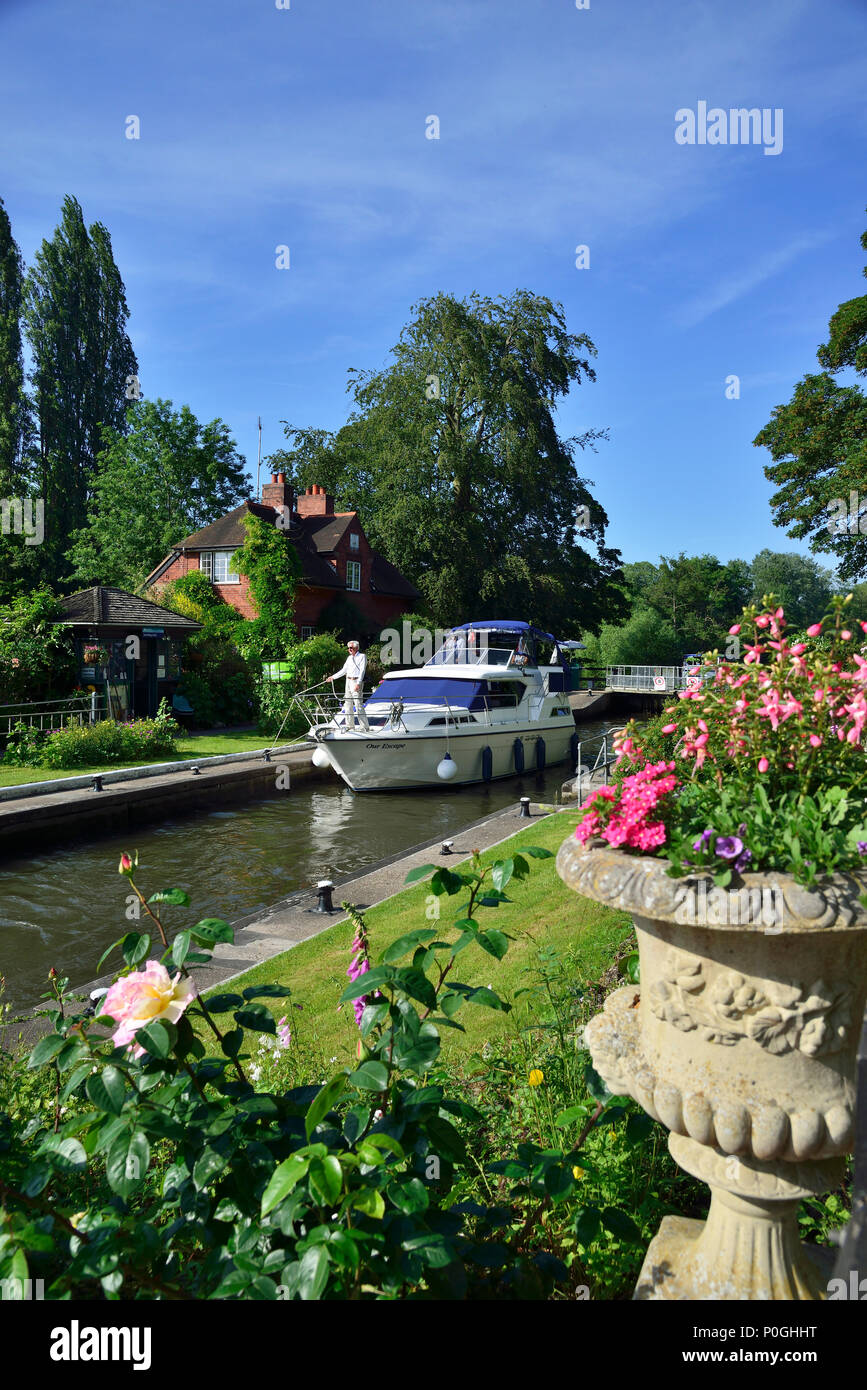 Sommer Pflanzen an der Sonning Schloss mit dem Motorboot durch die Blüte. Sonnig-on-Thames, Berkshire, England, Großbritannien Stockfoto
