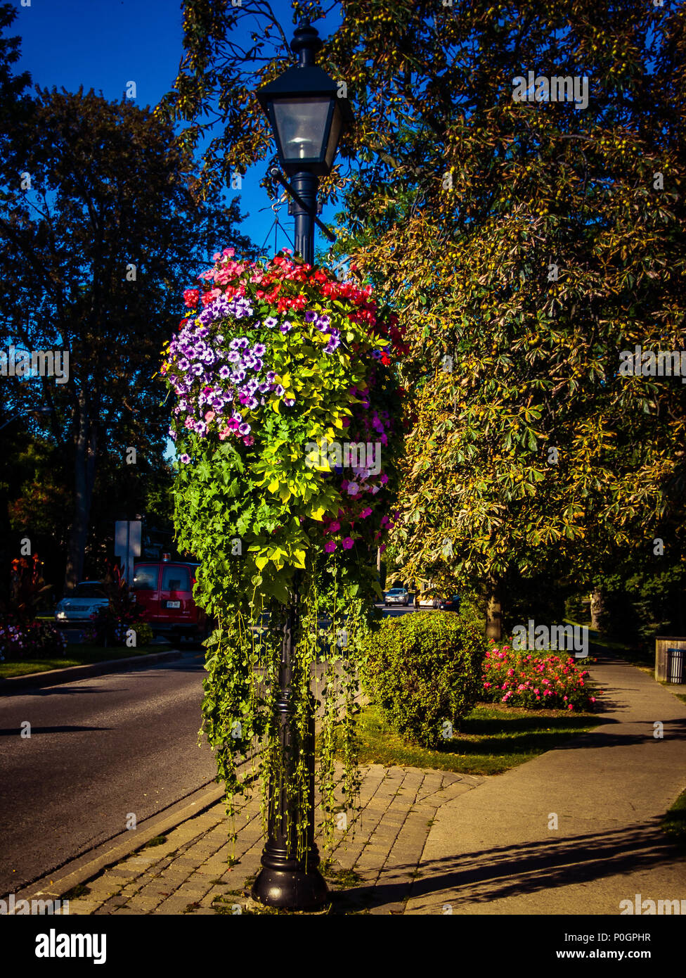 Niagara on the Lake, Ontario, Kanada. Schönen Strasse Dekorationen mit Blumen. Stockfoto