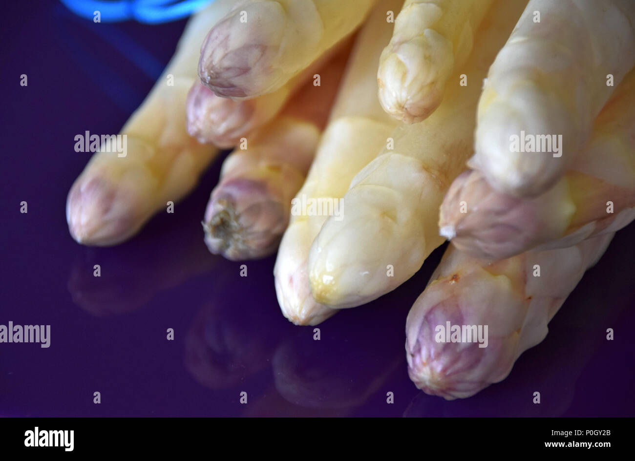 Weiß und lila Köpfe von einem rohen Spargel, Makroaufnahme, weißer Spargel Bündel Stockfoto