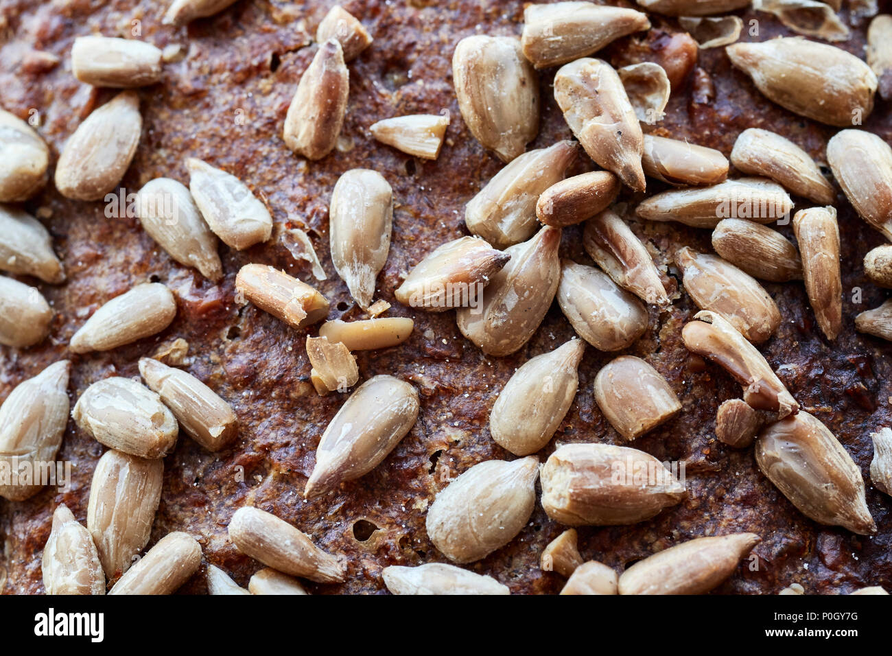 Nahaufnahme Bild von einem Vollkornbrot mit Sonnenblumenkernen, selektiven Fokus. Stockfoto