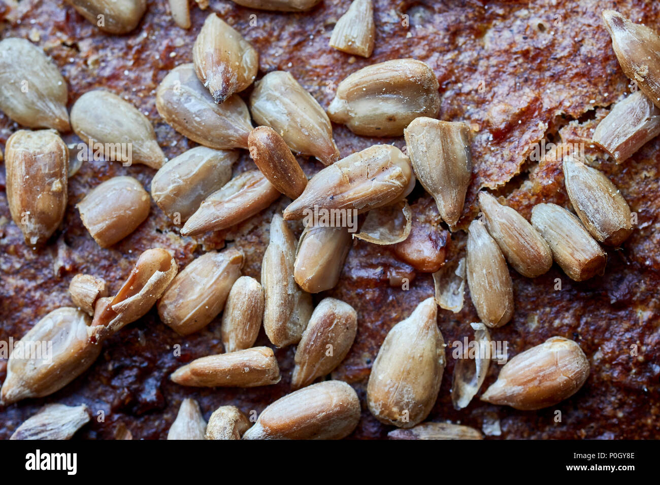 Nahaufnahme Bild von einem Vollkornbrot mit Sonnenblumenkernen, selektiven Fokus. Stockfoto