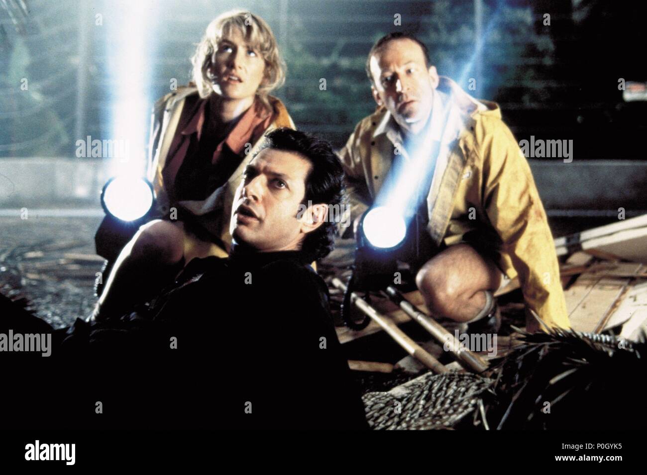 Original Filmtitel: Jurassic Park. Englischer Titel: Jurassic Park. Regisseur: Steven Spielberg. Jahr: 1993. Stars: Jeff Goldblum, Laura Dern. Credit: AMBLIN/Universal/SCHLIESSEN, MURRAY/Album Stockfoto