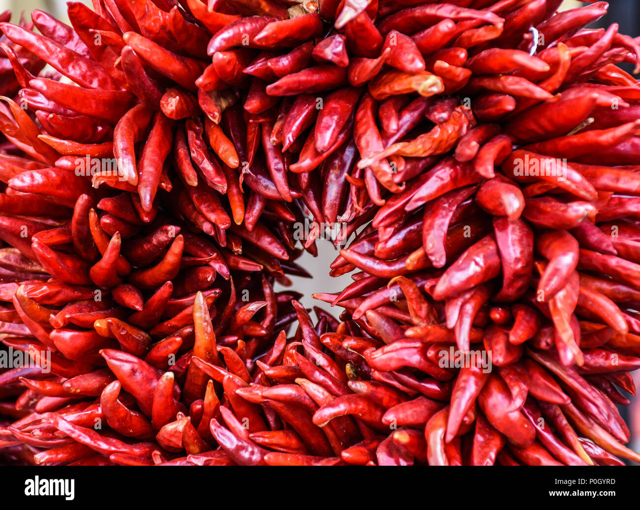 Ring des Feuers Kranz der Rote, getrocknete Chilischoten aus Santa Fe, New Mexico Stockfoto