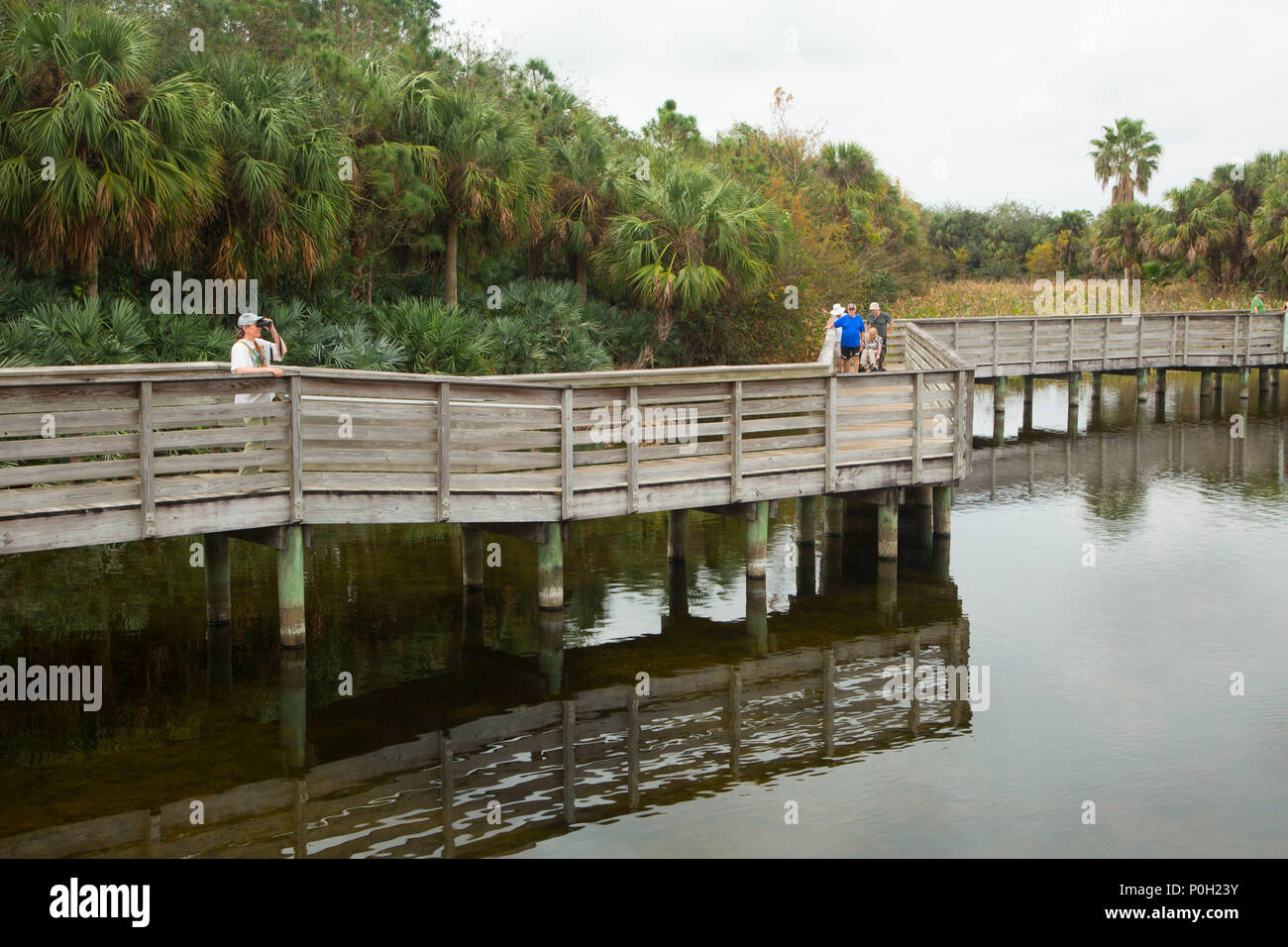 Boardwalk, Green Cay Nature Center, Boynton Beach, Florida Stockfoto