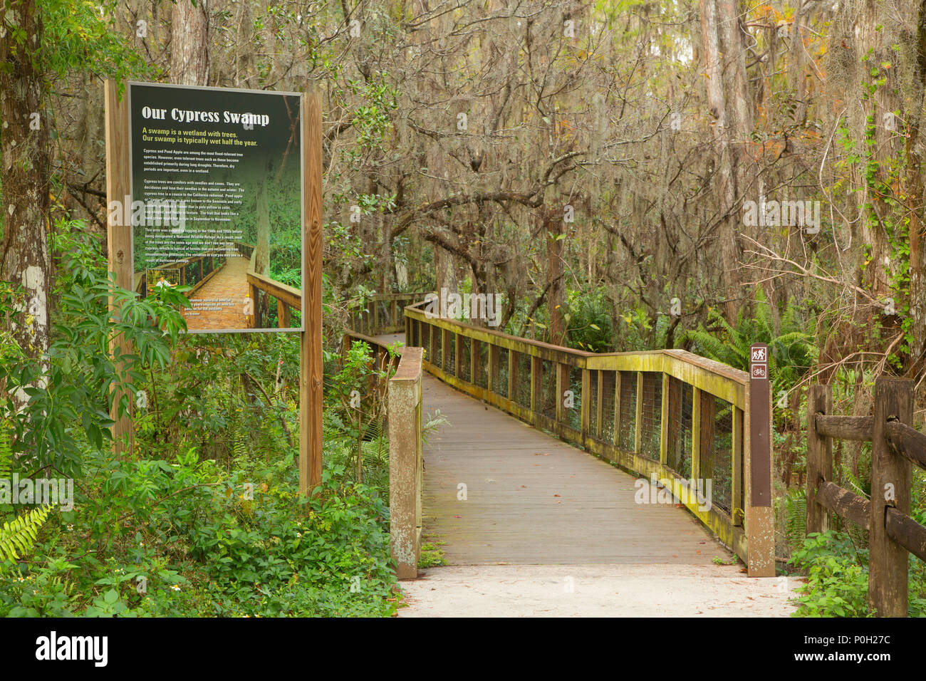 Cypress Boardwalk trail Zeichen, Arthur R. Loxahatchee National Wildlife Refuge, Florida Stockfoto