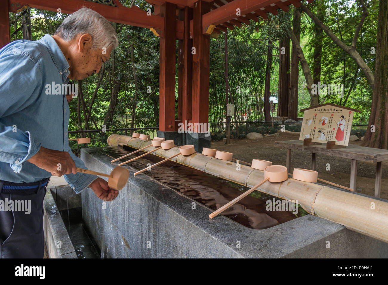 Vor der Eingabe eines Shinto Schrein Besucher selbst mit Wasser an der temizuya reinigen. Ein Mann wäscht seine Hände mit Pendelarm, Hikawa Jinja Schrein, Omiya Stockfoto