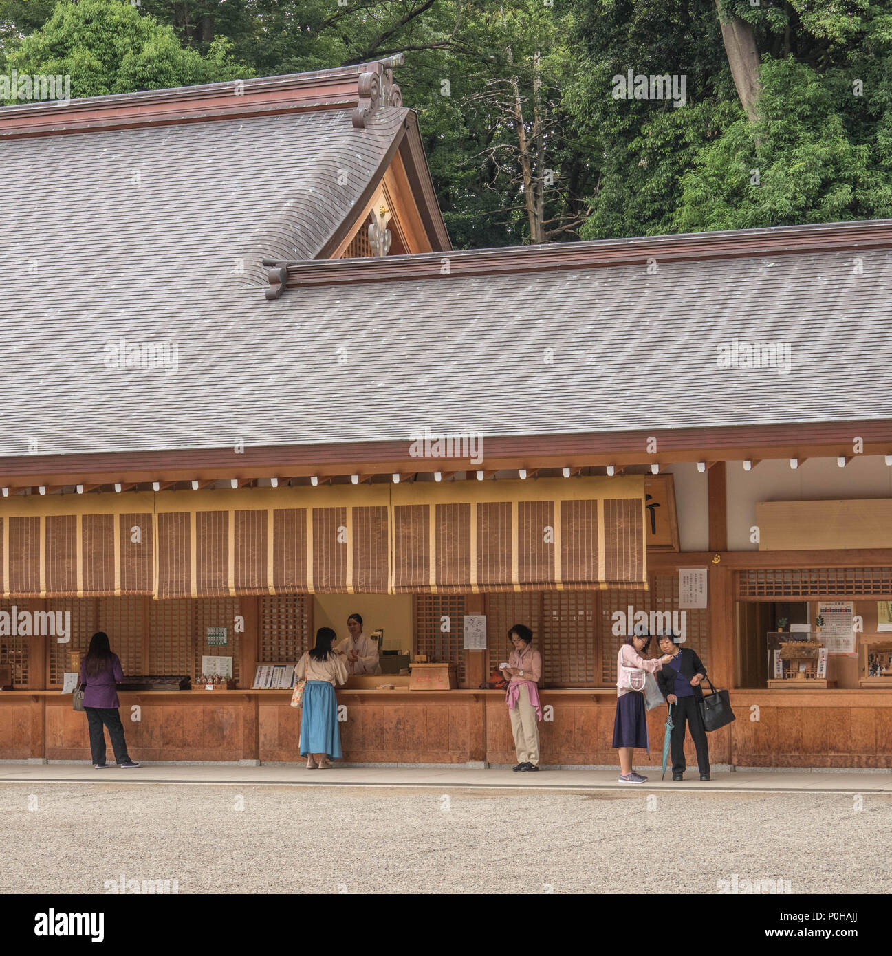 Lesen Omikuji, wahrsagerei Papierstreifen an Hikawa Jinja Shinto Schrein, Omiya, Saitama, Japan Stockfoto