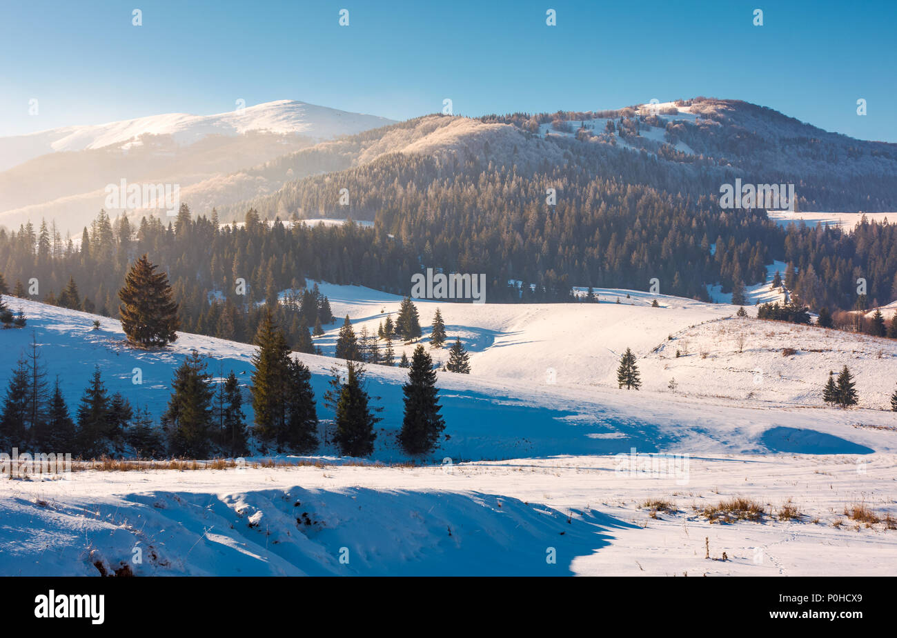 Borschawa Bergrücken im Winter. Wald auf verschneiten Hang in haze Fichte. schöne Landschaft der Karpaten Berg in Pylypets Dorf Ukr entfernt Stockfoto