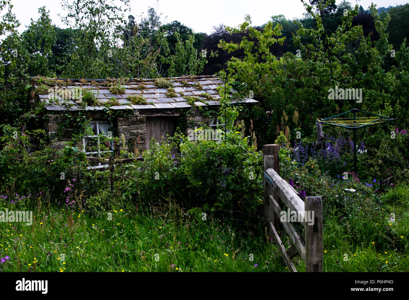 Chatsworth, Großbritannien. 9 Jun, 2018. Heu in der Dales RHS Chatsworth Flower Show, UK. Credit: Athina England/Alamy Leben Nachrichten. Stockfoto