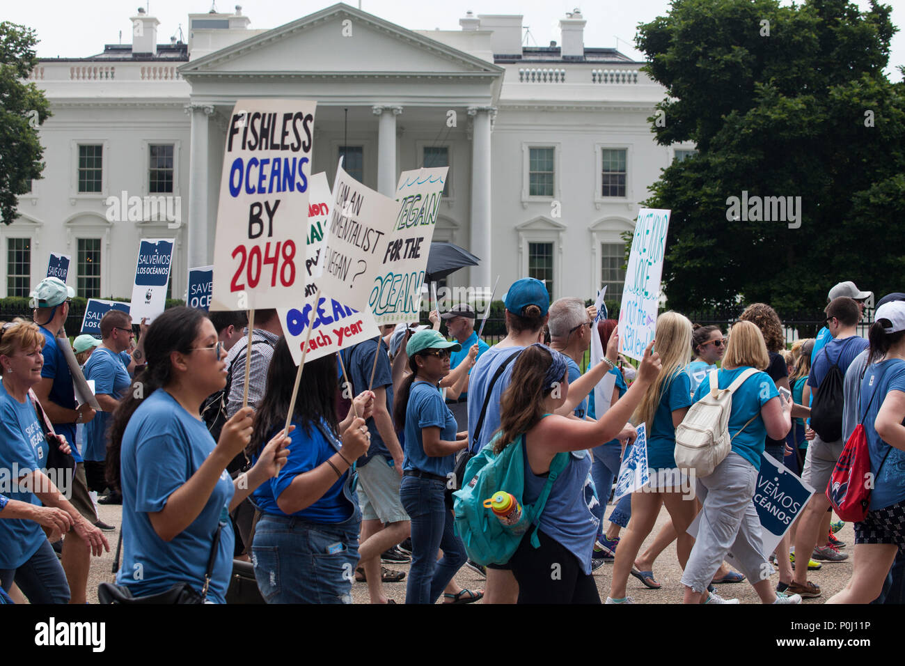 Washington DC, USA. 9. Juni 2018. Demonstranten tragen Zeichen hinter dem Weißen Haus an der Pennsylvania Avenue auf der März für den Ozean in Washington, D.C., 9. Juni 2018. Die Eröffnungs-März für den Ozean Aufmerksamkeit auf Ozean Ausgaben einschließlich Kunststoff Verschmutzung und Überfischung bei Veranstaltungen in der US-Hauptstadt und um die Vereinigten Staaten. Credit: Robert Meyers/Alamy leben Nachrichten Stockfoto