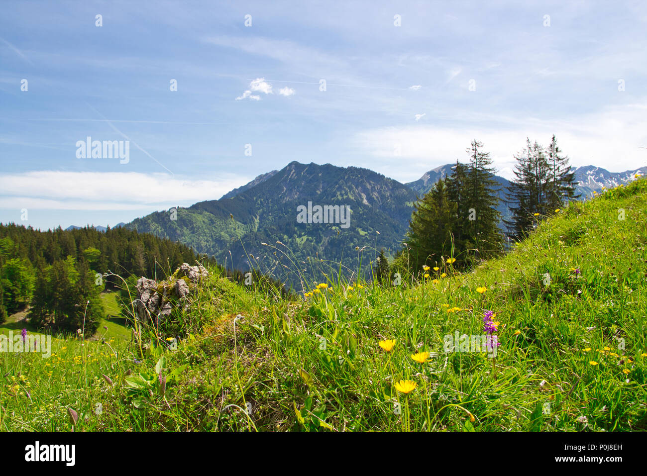 In den Alpen Stockfoto