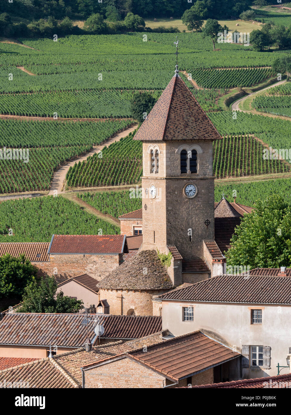 Weinberge rund um solutre Pouilly Saône-et-Loire Bourgogne-Franche-Comte Frankreich Stockfoto