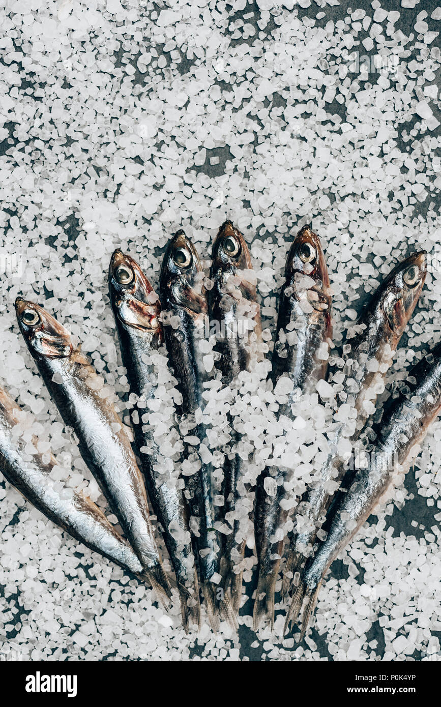Stapel von gesalzenem Fisch auf der Oberfläche von Salz Stockfoto